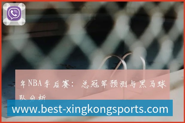 年NBA季后赛：总冠军预测与黑马球队分析