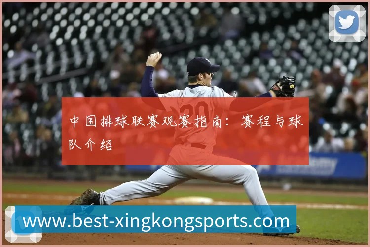 中国排球联赛观赛指南:赛程与球队介绍