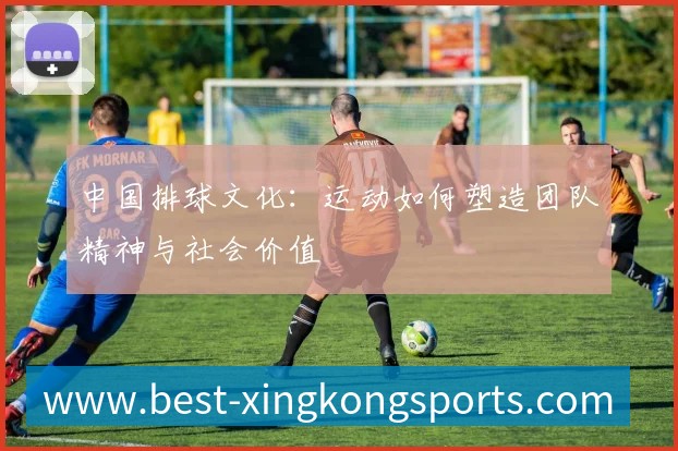 中国排球文化:运动如何塑造团队精神与社会价值